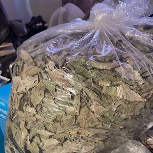 Sour sop leaves
